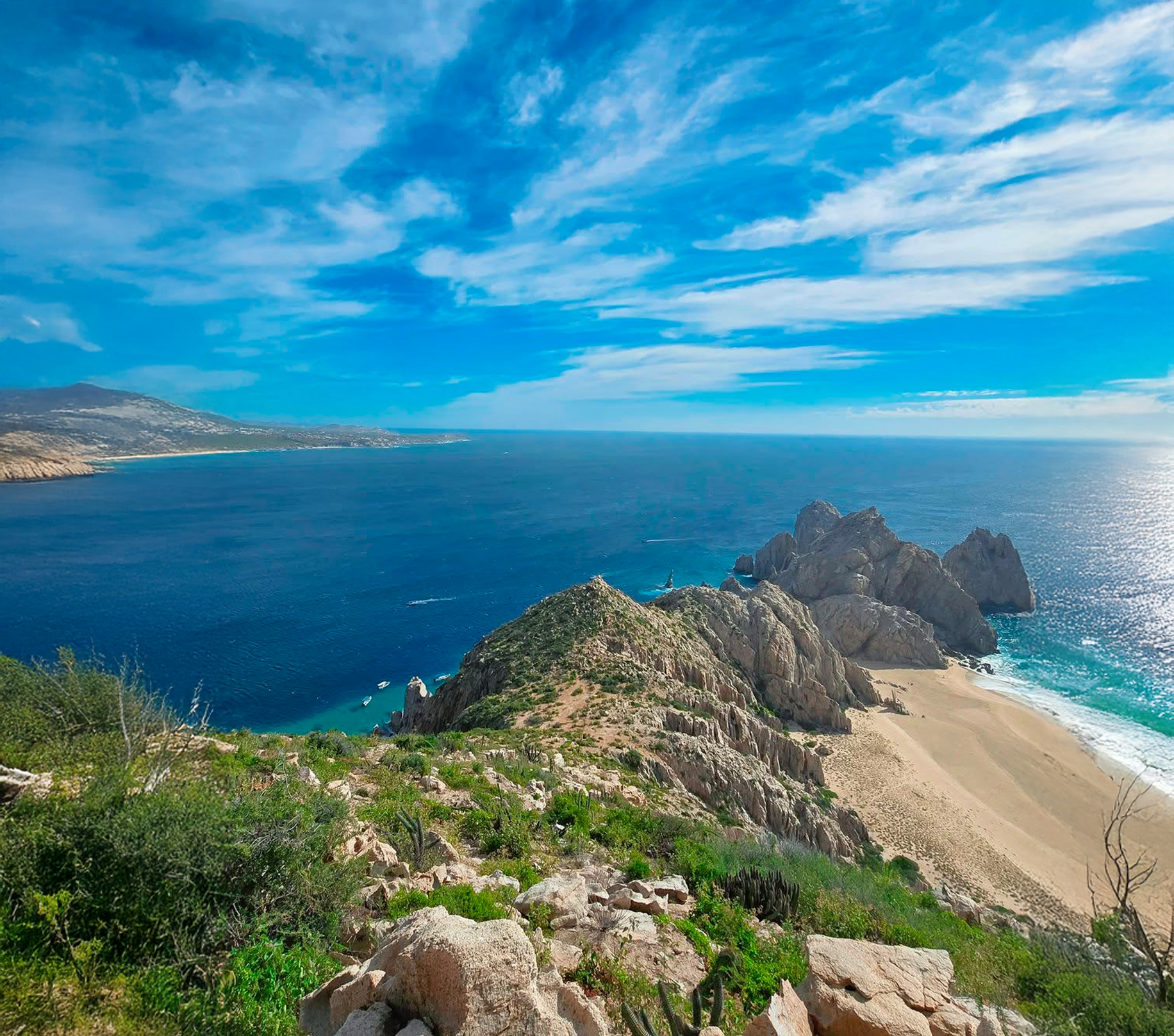 Landscape of Fernando Chavez